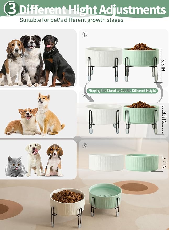 32 OZ Ceramic Dog Cat Bowls with Elevated Metal Stand, 2 Heights Elevated, 6.5 Inch Ceramic Round Pet Food and Water Feeder Bowl Dish for Cats & Dogs, White & Green