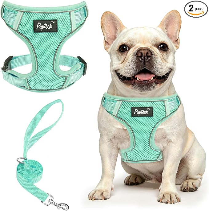 PUPTECK Dog Harness and Leash Set, No Pull Adjustable Pet Small Dog Harness, Reflective Soft Mesh Pet Vest, for Small Medium Dogs Walking, Green, L