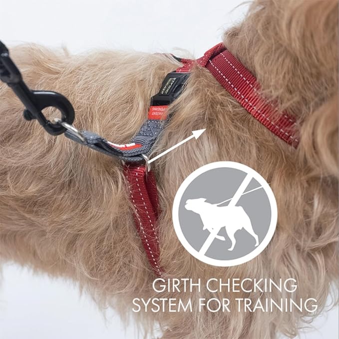 EzyDog Crosscheck, No Pull Side Martingale Training Dog Harness - XL, Blue | Escape Proof Harness for Dogs, Firmer Fit with Pulling, Silicone Neck Liner, Adjustable Fit for All Breeds, Dual D-rings