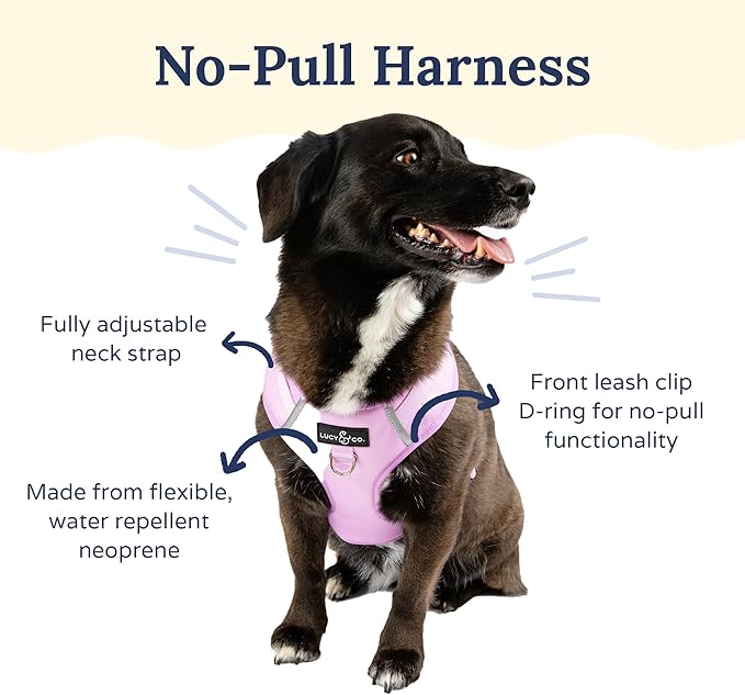 Lucy & Co. The Bouquet No-Pull Dog Harness - Size Small - Vest to Stop Pulling & Walk Easy - Comfortable Leash Training Product w/Adjustable Chest & Neck Straps