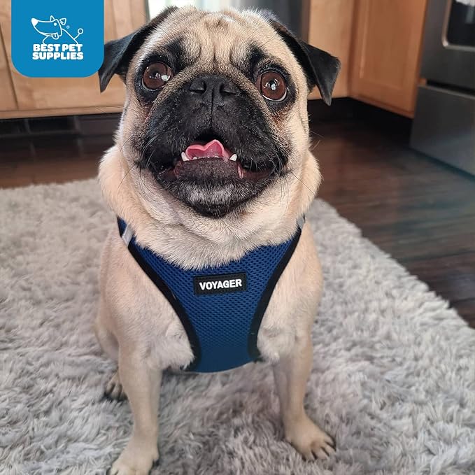 Voyager Step-in Air Dog Vest Harness - Blue/Black Trim, X-Small | 13 - 14.5" in Chest, Reflective Bands, All Weather Breathable Air Mesh, Cats Compatible, Lightweight, Fast Drying