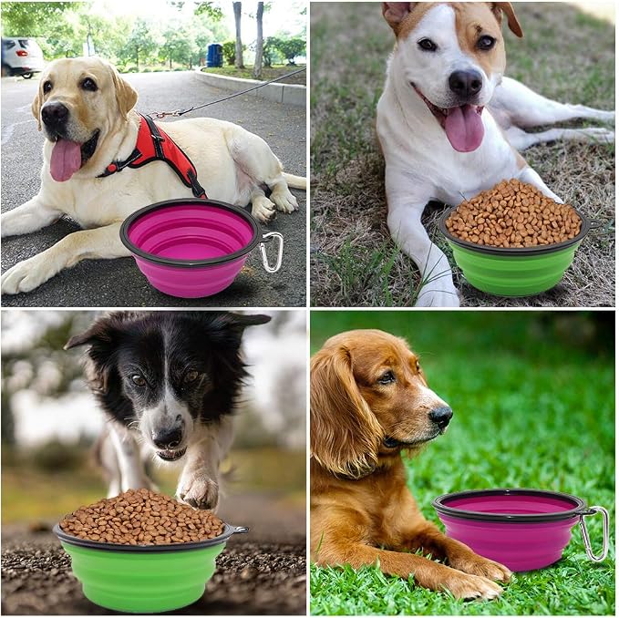 Dog Bowl Collapsible, 2 Pack, with Carabiners, Large, Green+Purple