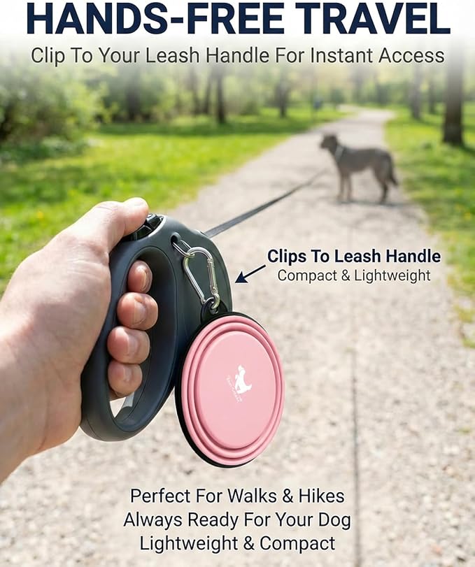 Collapsible Dog Bowls, 2 Pack, with Carabiners, Grey & Pink, Large