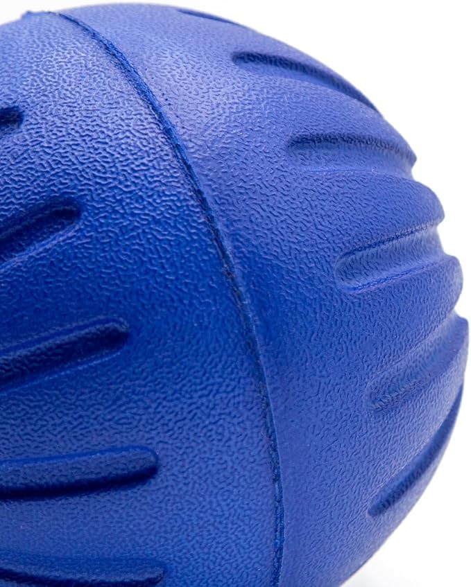 Leerburg Foam Ball Dog Toy – Durable, Safe Fetch Toy for Dogs, Floats in Water (Blue)
