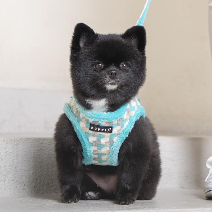 Arden Harness A - Aqua - S