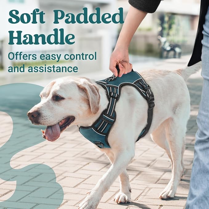 rabbitgoo Large Dog Harness, Easy Wear with 3 Buckles and Lift Handle | No Pull with Front Clip for Walking, Adjustable Soft Padded, Reflective, Easy Control, Green, Large