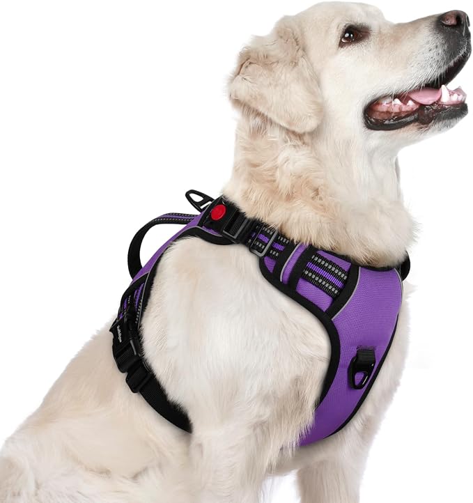 rabbitgoo Large Dog Harness, Easy Wear with 3 Buckles and Lift Handle | No Pull with Front Clip for Walking, Adjustable Soft Padded, Reflective, Easy Control, Purple, Large
