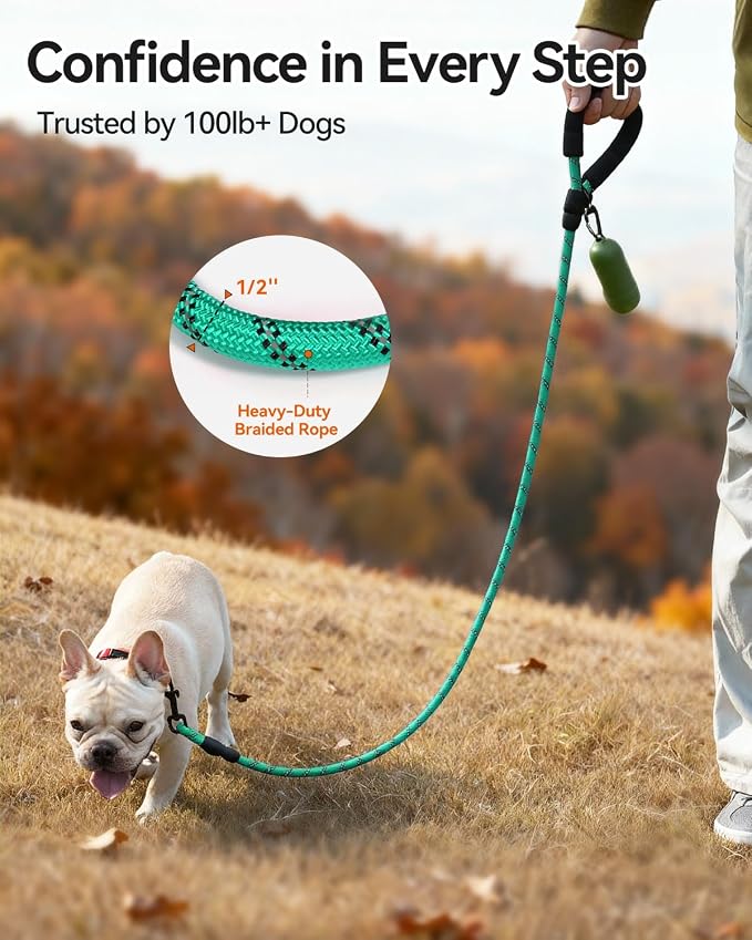 Joytale Rope Dog Leash for Small Dogs, Padded Handle, 6FT, Turquoise | Reinforced Nylon Webbing, Comfort Grip Eases Hand Strain, Swivel Clip Prevents Tangles, Visible at Night, for Outdoor Walks