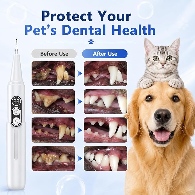 Dog Plaque Remover with UV Sanitizing Chamber,6 Modes,Waterproof | Built-in UV Sanitizing Storage Chamber,Stores & Sanitizes Metal Tips After Use,6 Cleaning Modes for Different Needs