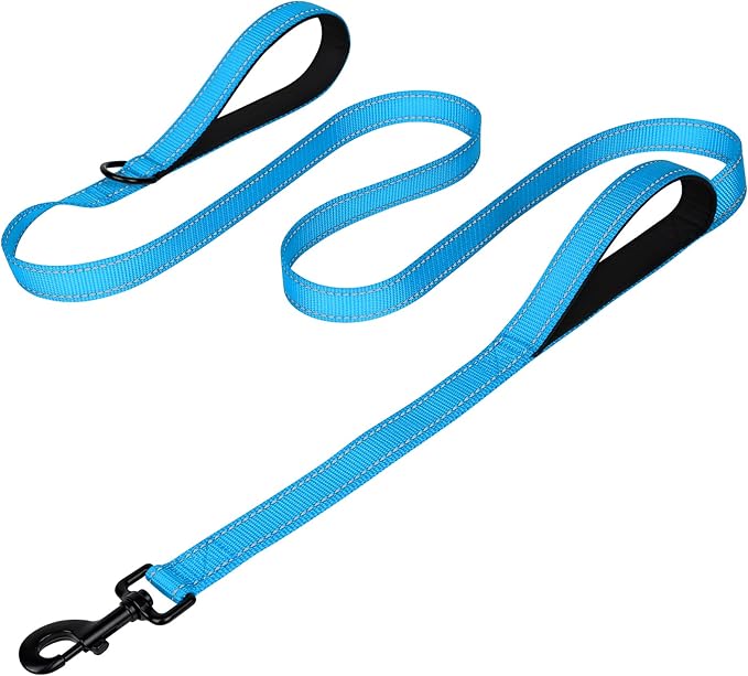 Joytale Dog Leash for Large Dogs that Pull, Double Handle, 5FT, Aqua Blue | Traffic Handle for Control, Padded Handle Reduces Hand Strain, Reflective Stitching for Night Safety, Strong Nylon Webbing