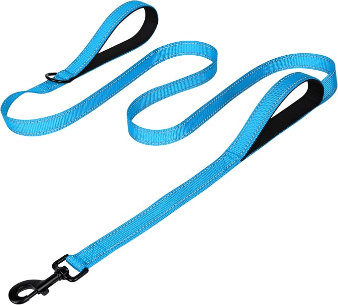 Joytale Dog Leash for Large Dogs that Pull, Double Handle, 4FT, Aqua Blue | Traffic Handle for Control, Padded Handle Reduces Hand Strain, Reflective Stitching for Night Safety, Strong Nylon Webbing