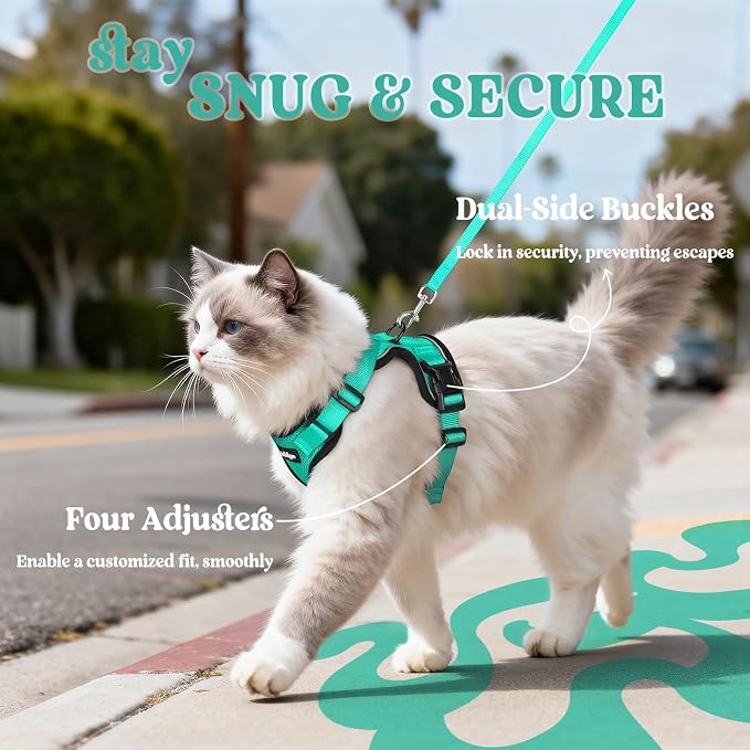rabbitgoo Cat Harness and Leash Set, Escape Proof Vest, Emerald | Soft Breathable Mesh, Easy Adjustable Fit, Snap Buckles, Sturdy Clip, Reflective Strips, for Average Cats Walks, S