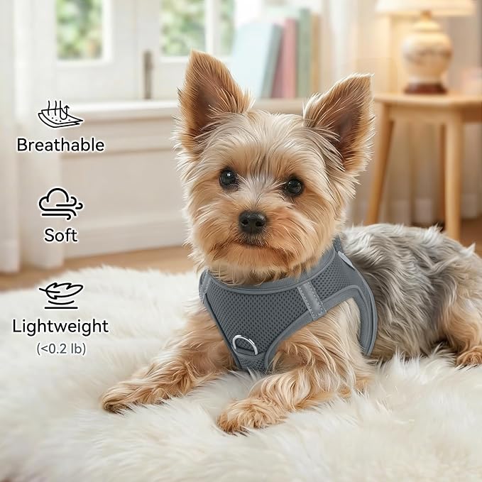 Joytale Step-in Dog Harness, Soft Breathable Mesh, Gray S | Adjustable Fit for Small Dogs, Easy Step-in with Secure Fastener, Even Chest Pressure, Reflective For Night Safety, Washable