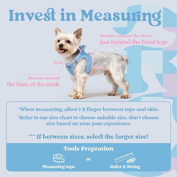 rabbitgoo Step-in Small Dog Harness, Puppy Vest for Small Sized Pet | Easy Put on and off, Lightweight, Soft, Breathable Quick-Dry Air Mesh for Comfortable Secure Walking, Blue & Plaid Trim S