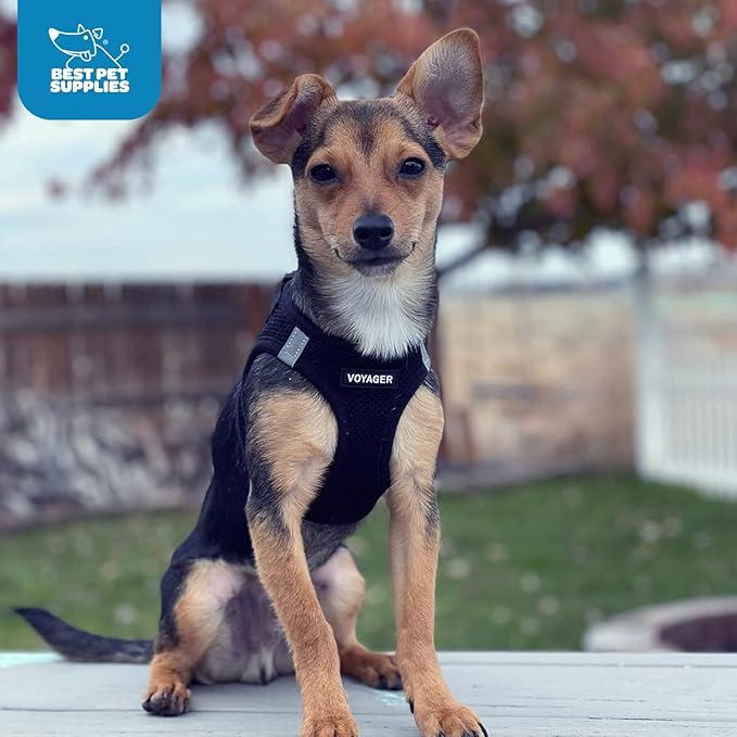 Voyager Step-in Air Dog Vest Harness - Black, X-Large | 20.5 - 23" in Chest, Reflective Bands, All Weather Breathable Air Mesh, Cats Compatible, Lightweight, Fast Drying
