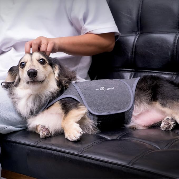 Paw Inspired Dog Anxiety Vest, Large, Large