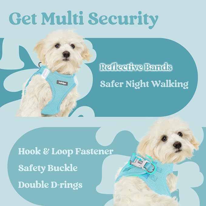 rabbitgoo Step-in Small Dog Harness, Puppy Vest for Small Medium Sized Pet | Easy Put on and off, Lightweight, Soft, Breathable Quick-Dry Air Mesh for Comfortable Secure Walking, Mint Blue XL