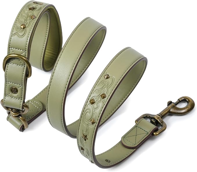 Blueberry Pet Premium Embossed Sage Green Glam Microfiber Leather Dog Leash with Antique Brass Studs