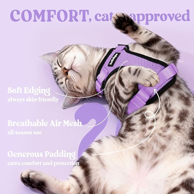 rabbitgoo Cat Harness and Leash Set, Escape Proof Vest, Light Purple | Soft Breathable Mesh, Easy Adjustable Fit, Snap Buckles, Sturdy Clip, Reflective Strips, for Medium to Large Cats Walks, M
