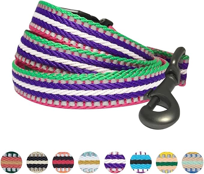 Blueberry Pet 3M Reflective Dog Leash with Soft & Comfortable Handle | Strong Nylon/Multi-Colored Stripe - Pink, Emerald and Orchid
