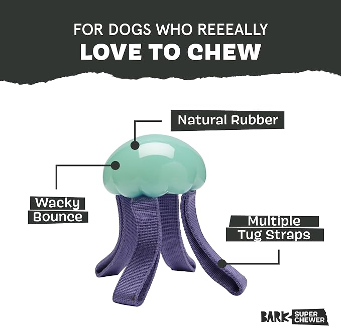 BarkBox Jelly Fetch Dog Toy - for Medium Dogs | Perfect for Tug and Fetch Play, Durable Design with Strong Nylon Straps for Long-Lasting Fun
