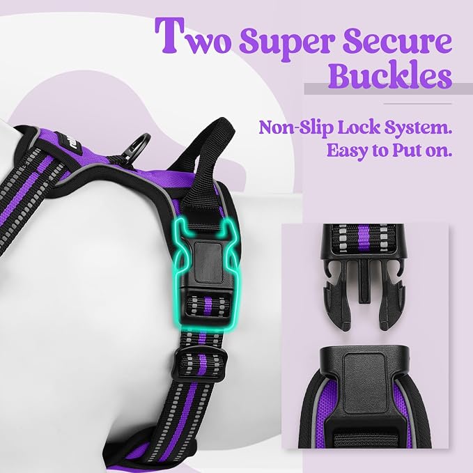 rabbitgoo Dog Harness, No Pull Medium Sized with 2 Leash Clips, Pet Vest | No Choke with Handle, Adjustable Soft Padded, Reflective, Easy Control for Walking, Purple, Medium