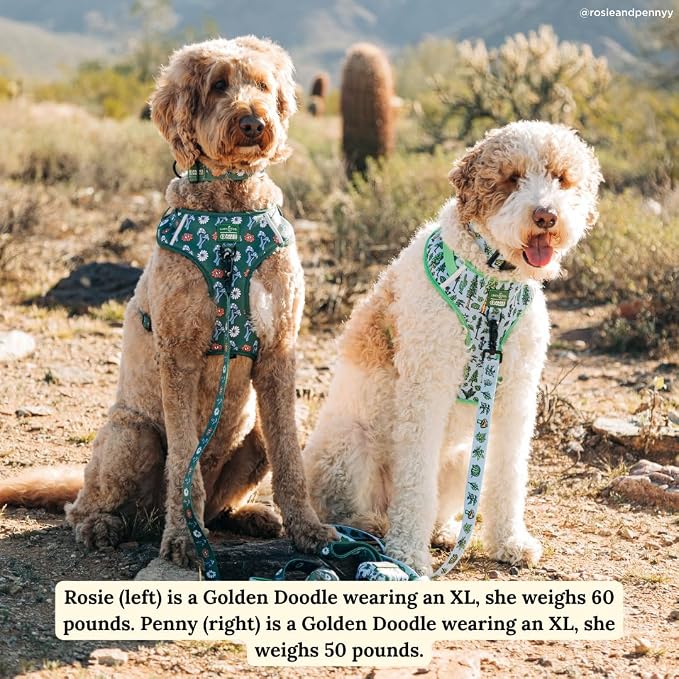 Lucy & Co. x Parks Project Power to the Parks No-Pull Dog Harness, Adjustable Front Clip Harness with Comfort Padding, X-Small