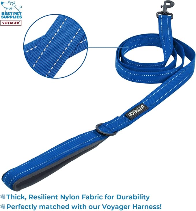 Voyager Step-in Air All Weather Mesh Harness and Reflective Dog 5 ft Leash Combo with Neoprene Handle, for Small, Medium and Large Breed Puppies by Best Pet Supplies - Blue, Large