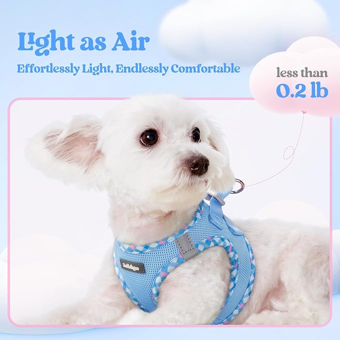 rabbitgoo Dog Harness Small Sized and Leash Set, Step-in Puppy Pet Vest | Light, Soft, Breathable Air Mesh, Easy on and Remove with Hook & Loop, Secure Reflective for Walking, Blue & Plaid Trim XXS