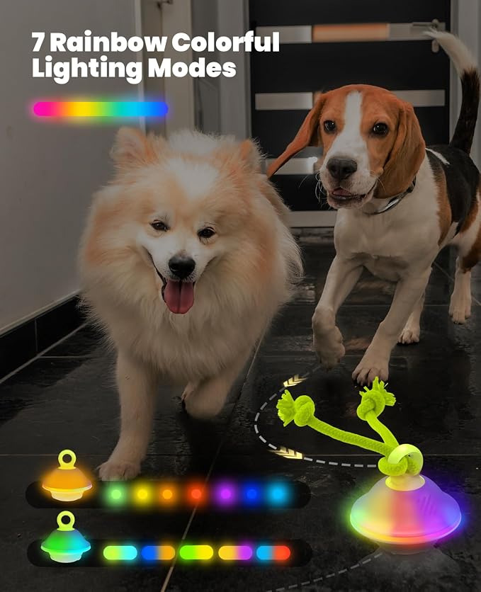 Xeuch Interactive Dog Ball with Rope, Motion Activated Squeaky Ball, Green | 3 Speeds, Bird Chirps, Voice Recording, 7 LED Modes, Type-C Recharge, 4-hour Playtime, Silicone Shell, for Small-medium Dogs