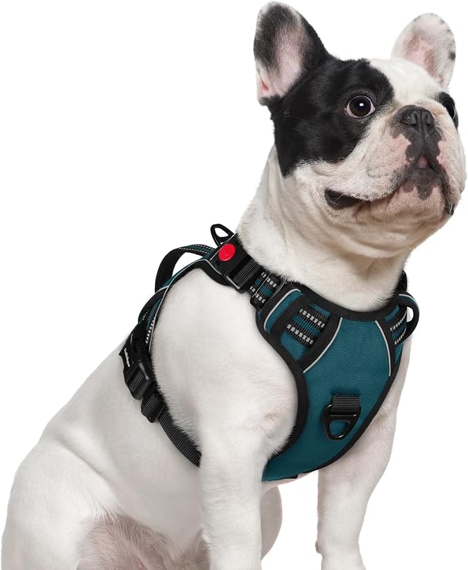 rabbitgoo Large Dog Harness, Easy Wear with 3 Buckles and Lift Handle | No Pull with Front Clip for Walking, Adjustable Soft Padded, Reflective, Easy Control, Green, Small