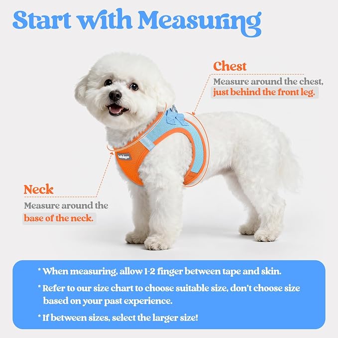 rabbitgoo Dog Harness Medium Sized and Leash Set, Step-in Puppy Pet Vest | Light, Soft, Breathable Air Mesh, Easy on and Remove with Hook & Loop, Secure Reflective for Walking, Blue & Orange XXL