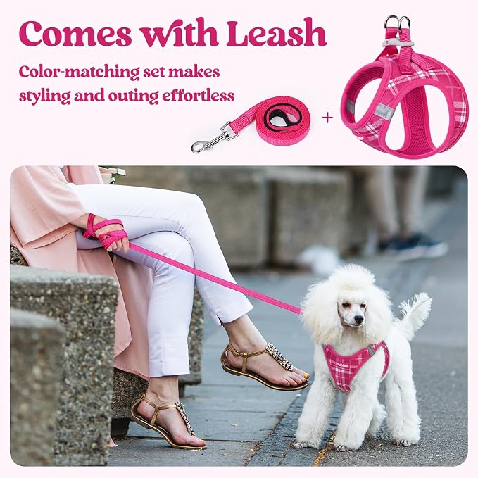 rabbitgoo Dog Harness Small Sized and Leash Set, Step-in Puppy Pet Vest | Light, Soft, Breathable Air Mesh, Easy on and Remove with Hook & Loop, Secure Reflective for Walking, Rose Red Plaid M