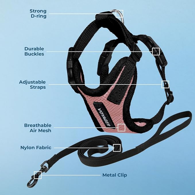 Voyager Escape-Proof Step-in Lock Cat Harness & 5ft Neoprene-Handle Leash Set All-Weather Mesh with Reflective Stitching for Small to Large Cats by Best Pet Supplies, Pink/Black Trim, XS