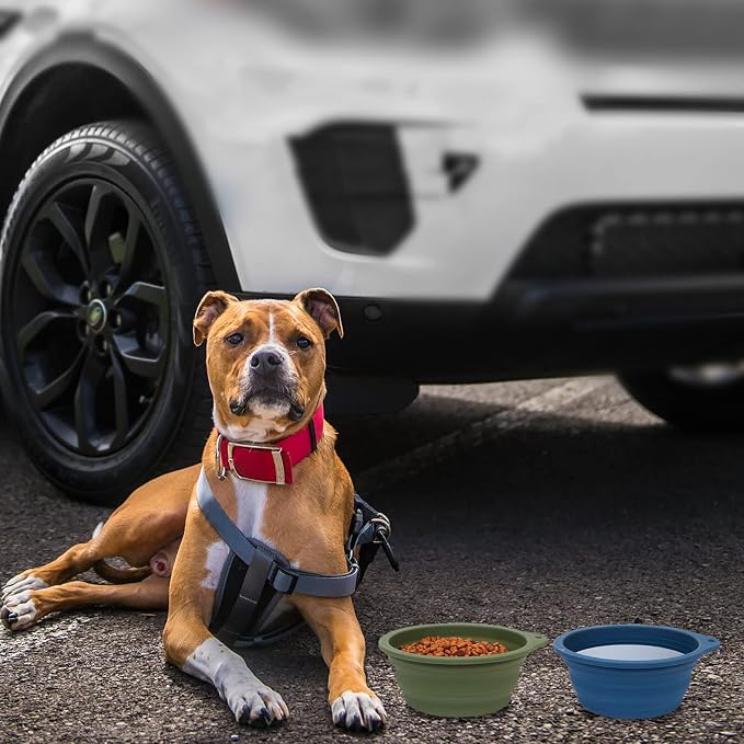 SLSON Collapsible Dog Bowl, 2 Pack, 600ml, Navy Blue & Dark Green