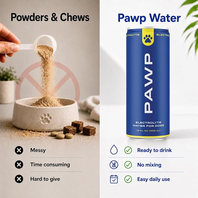 Water Electrolyte Hydration for Dogs | Potassium, Sodium & Magnesium | Supports Hydration, Electrolyte Balance & Recovery | 6 Resealable 12 oz Cans