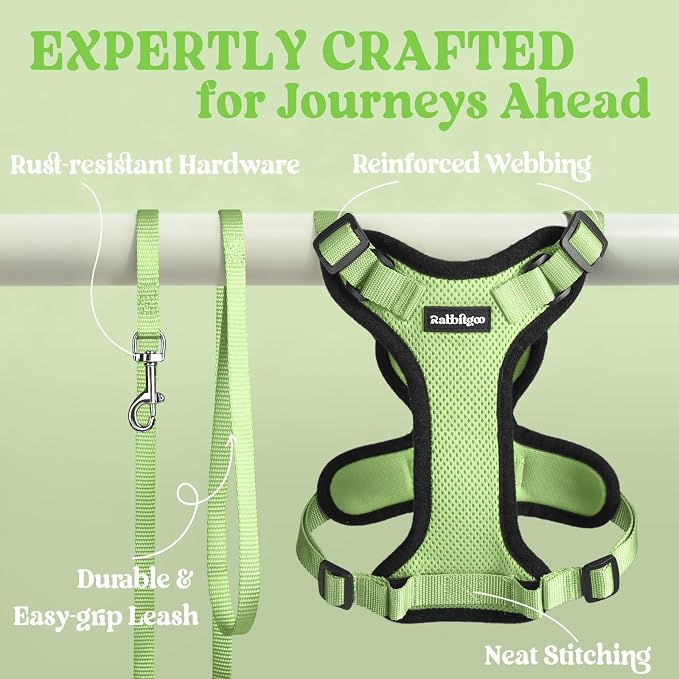 rabbitgoo Cat Harness and Leash Set, Escape Proof Vest, Light Green | Soft Breathable Mesh, Easy Adjustable Fit, Snap Buckles, Sturdy Clip, Reflective Strips, for Small & Average Cats Walks, Xs