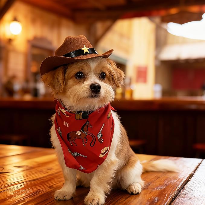 HOWWFALY Pet Cowboy Costume Set Dog Halloween Costumes Cat Cowboy Hat & Bandana Scarf, Small, Small, Red