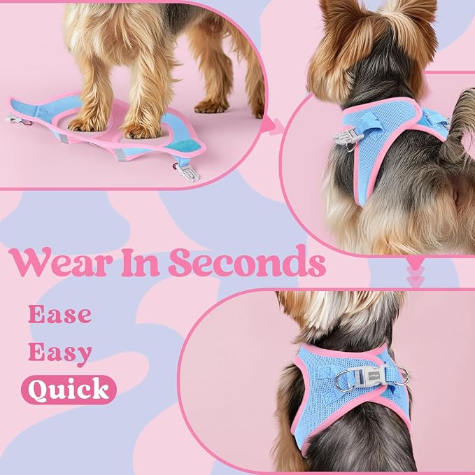 rabbitgoo Step-in Small Dog Harness, Puppy Vest for Small Sized Pet | Easy Put on and off, Lightweight, Soft, Breathable Quick-Dry Air Mesh for Comfortable Secure Walking, Blue & Light Pink S