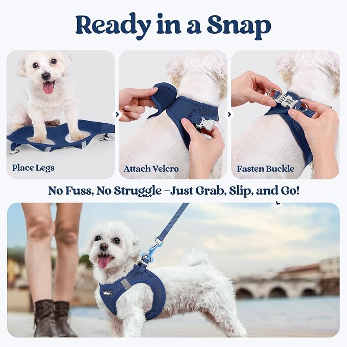 rabbitgoo Dog Harness Medium Sized and Leash Set, Step-in Puppy Pet Vest | Light, Soft, Breathable Air Mesh, Easy on and Remove with Hook & Loop, Secure Reflective for Walking, Navy Blue L