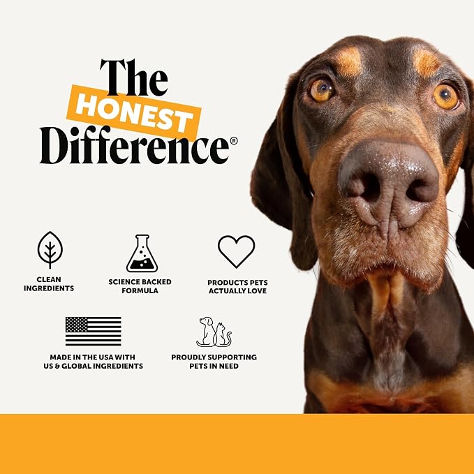 Pet Honesty Dog Allergy Chews - for Paw Licking, Itching & Seasonal Allergies - with Colostrum, Probiotics & Salmon Oil - Vet Recommended Itch Relief Supplement for Dogs (Salmon, 90 Ct)