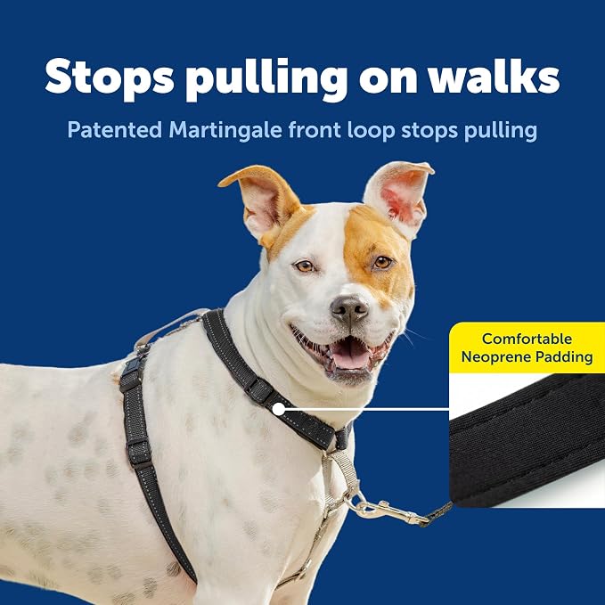 PetSafe 3 in 1 No-Pull Dog Harness - Walk, Train or Travel - Helps Prevent Pets from Pulling on Walks - Seatbelt Loop Doubles as Quick Access Handle - Reflective Accents - Medium, Black | Rests on Chest Not Throat to Reduce Pulling, 5 Adjustment Points...