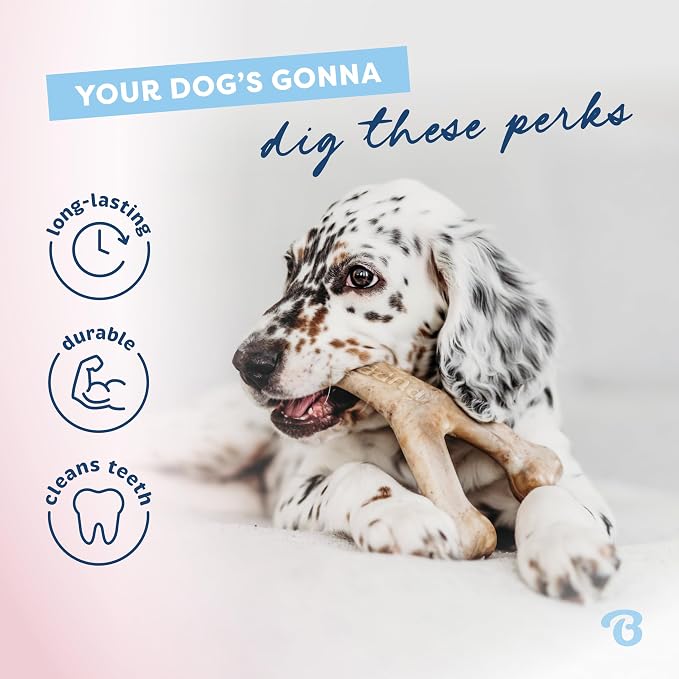 Benebone Puppy 4-Pack Dog Chew Toys for Gentle Chewers, Dog Bones, Small | Durable Made in USA, REAL Bacon, Jack Salmon & Maplewood Flavors, Puppy Teething Toys