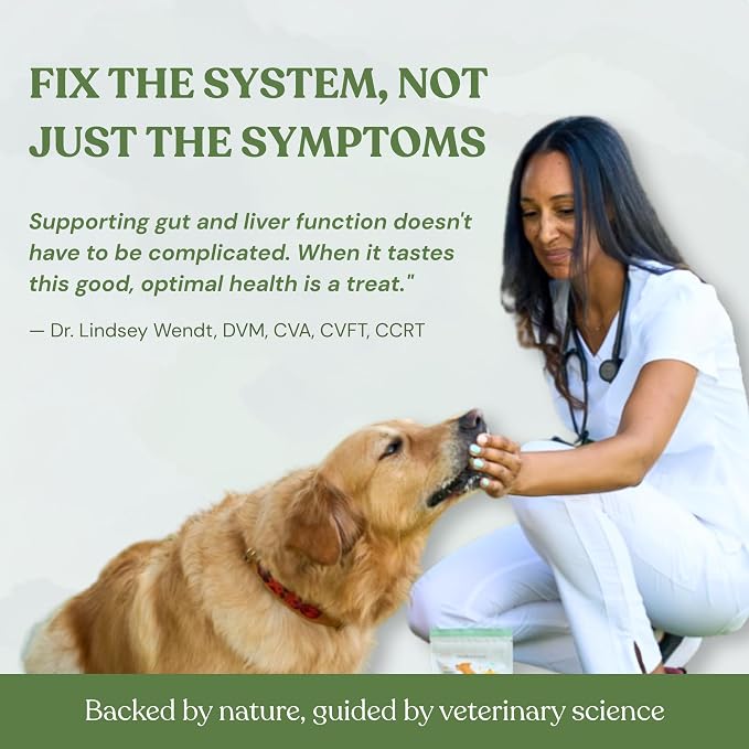 Inner Glow Digestive Dog Treats - Gut Health Support with Prebiotics, Dandelion & Chaga - Vet Formulated for Diarrhea Relief & Immune Support - Organic, Vegan, 2-Pack