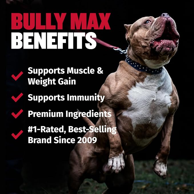 Bully Max 2-in-1 Muscle Builder Chewable Tablets for Dogs - Puppy & Dog Vitamins, Supplements for Muscle Gain & Growth - Canine Multivitamins Essentials for All Breeds & Ages - 60 Tabs, 3 Bottles