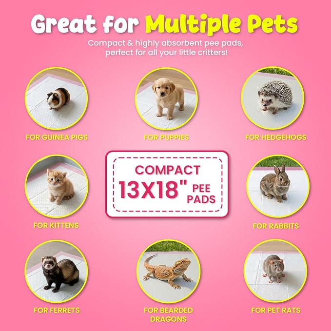 FPN Puppy Pads for Dogs 100 Count Pink Small 13X18 Inch | Disposable Pee Pads for Puppies & Small Dogs | Pet Training Pads for Potty Training, Small Dog Pee Pads, Puppy Pads Bulk