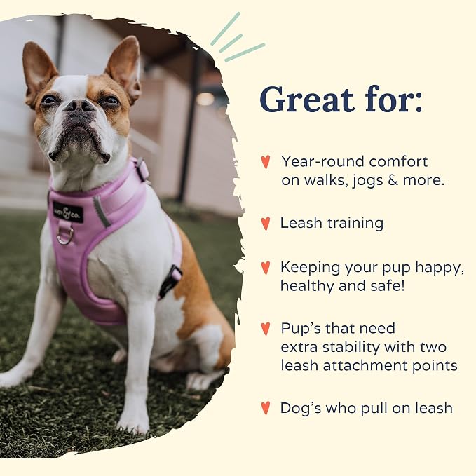 Lucy & Co. The Bouquet No-Pull Dog Harness - Size X-Small - Vest to Stop Pulling & Walk Easy - Comfortable Leash Training Product w/Adjustable Chest & Neck Straps