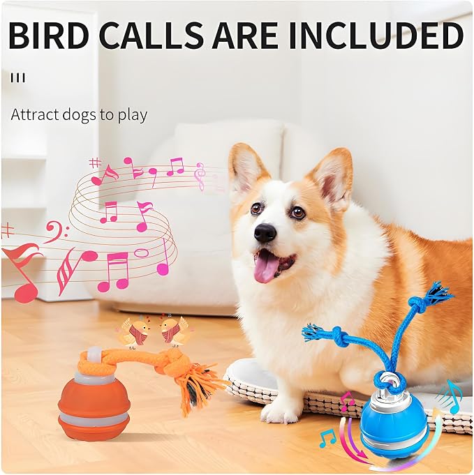 Interactive Dog Ball Toy for Small Dogs, Motion Activated Rolling Ball | Motion Activated Rolling Dog Ball Toy with Birdsong Squeaky & Chewable Rope | Peppy Fetch Toy to Keep Small Dogs Busy