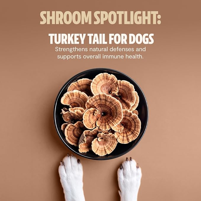 FreshCap Mushrooms Shroomies - 13 in 1 Turkey Tail Mushroom for Dogs, Super Blend Mushroom Supplement for Dogs, Dog Immune Support, Calming Treats (180 Soft Chews) (Pack of 2)
