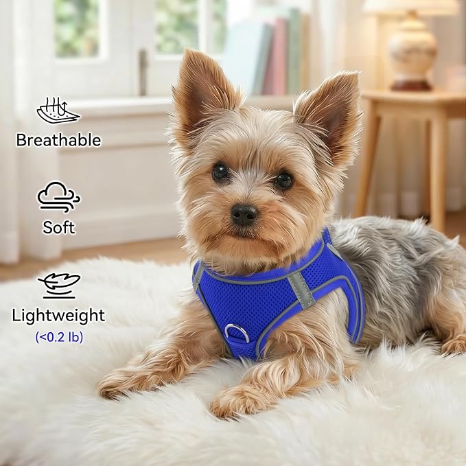 Joytale Step-in Dog Harness, Soft Breathable Mesh, Navy Blue M | Adjustable Fit for Small Dogs, Easy Step-in with Secure Fastener, Even Chest Pressure, Reflective For Night Safety, Washable